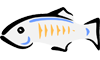 GlassFish logo